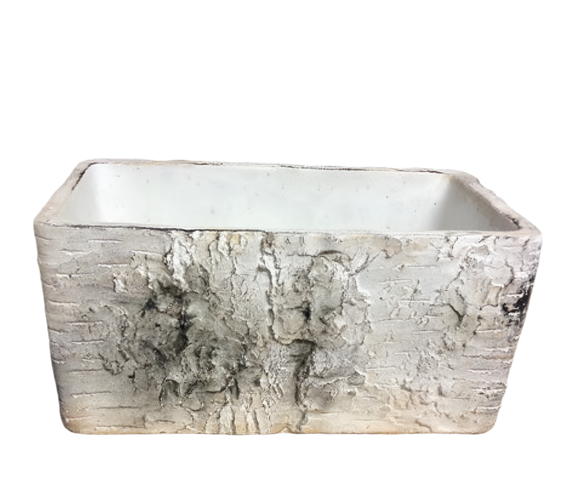 Rectangular Cement Birch Planter