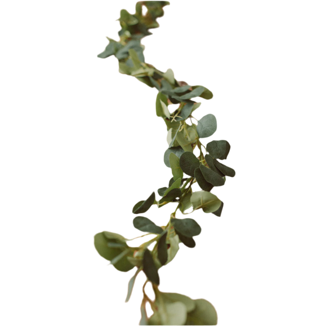 Eucalyptus Garland