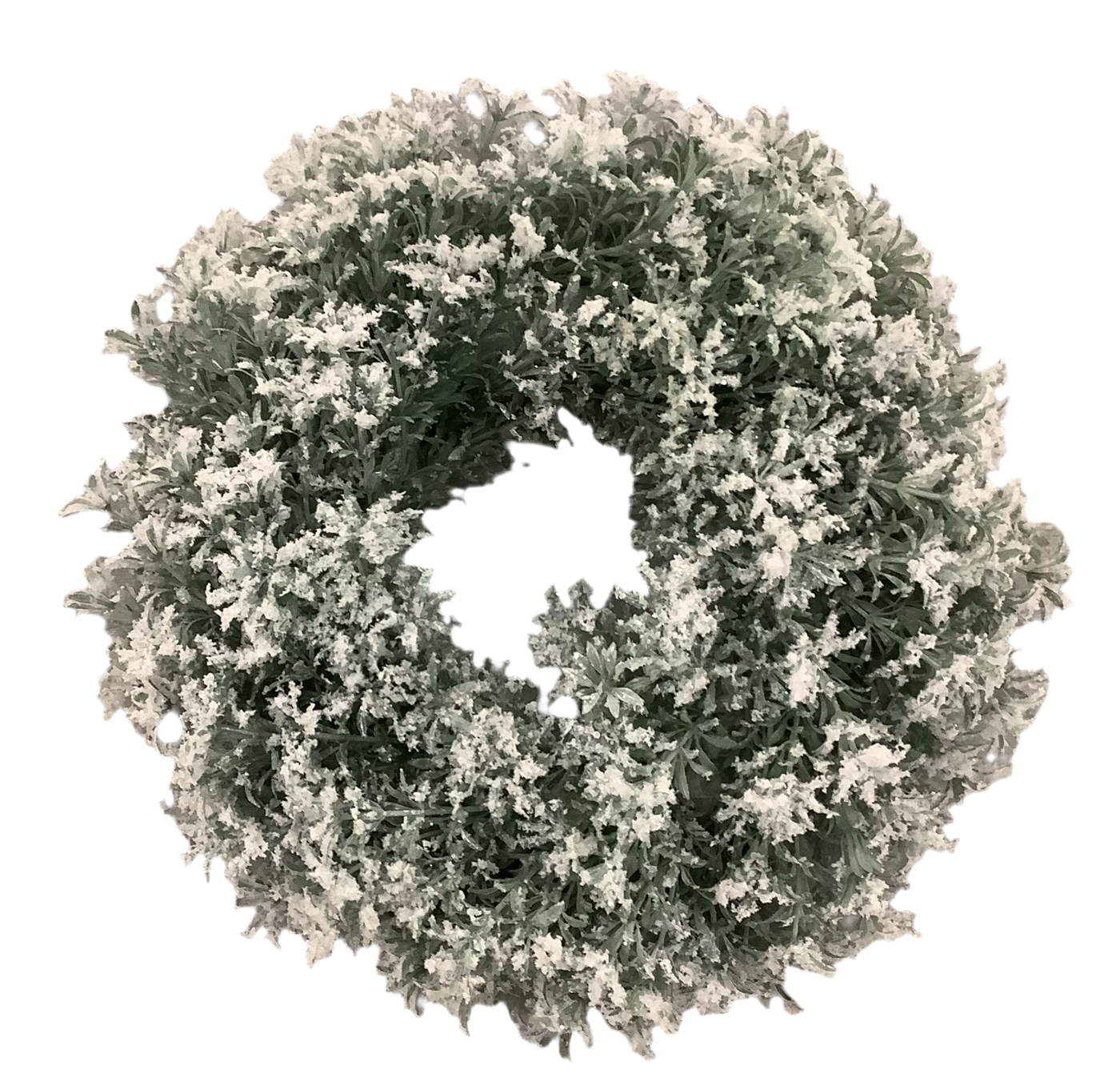 White Frosted Holly Berry Wreath 20”