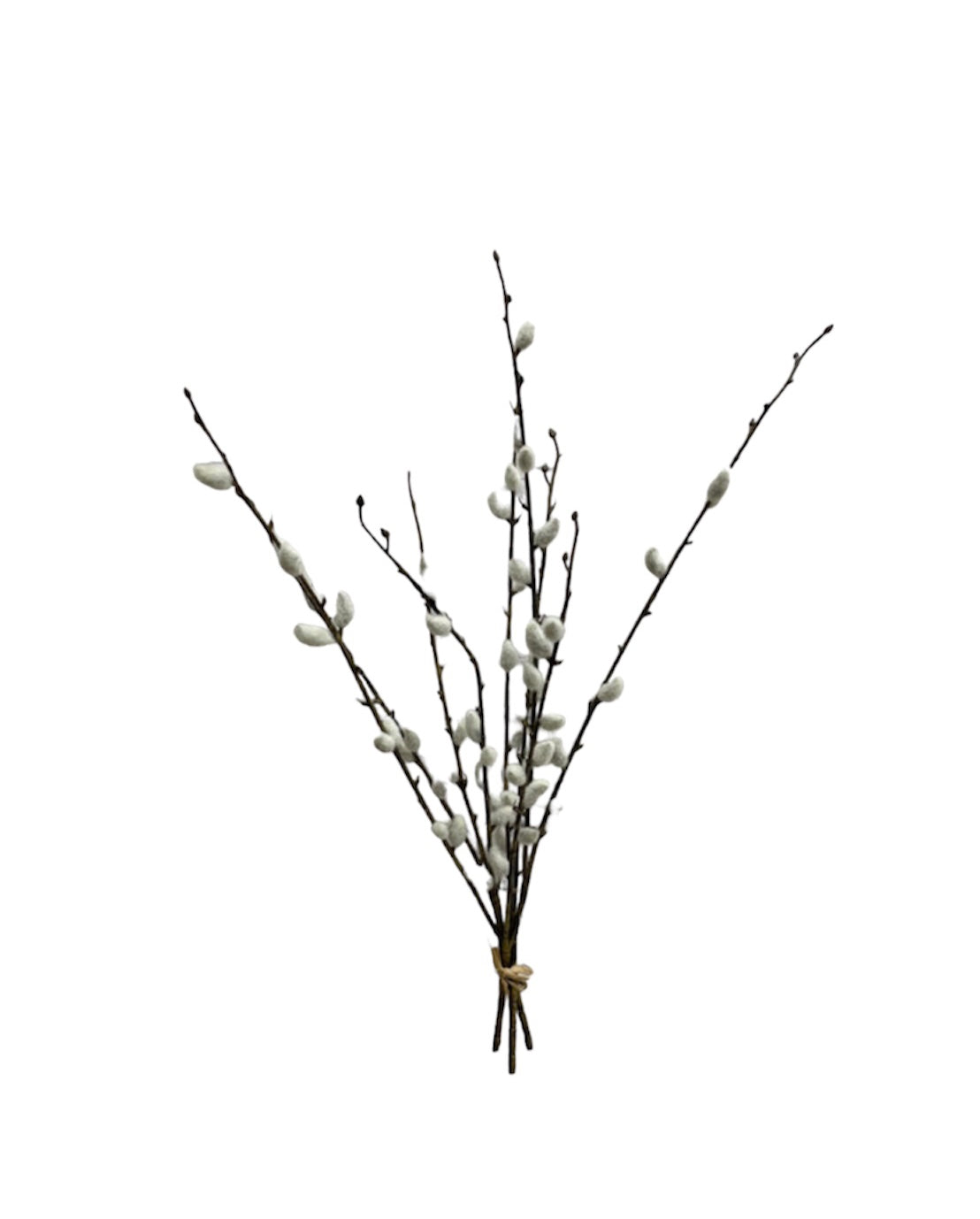 Faux Pussy Willow Bundle 21.5”