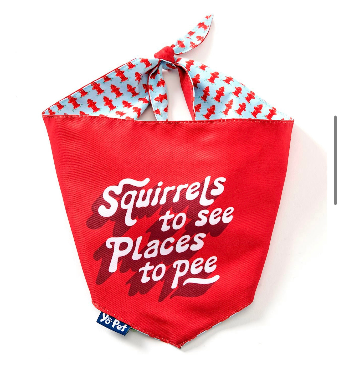 Places to Pee Pet Bandana