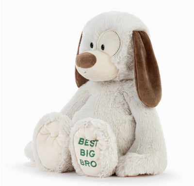 Best Big Brother Plush Dog