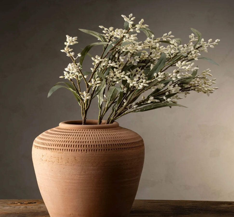 Flowering Eucalyptus Branch