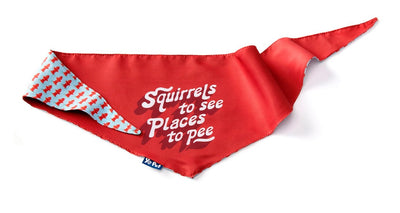 Places to Pee Pet Bandana