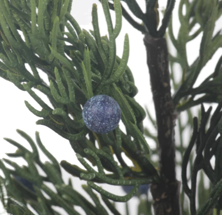 Faux Cedar + Blueberry Tree