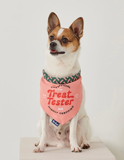 Treat Tester Pet Bandana