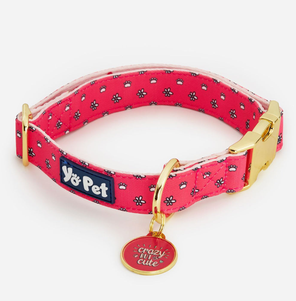 Crazy But Cute Pet Collar