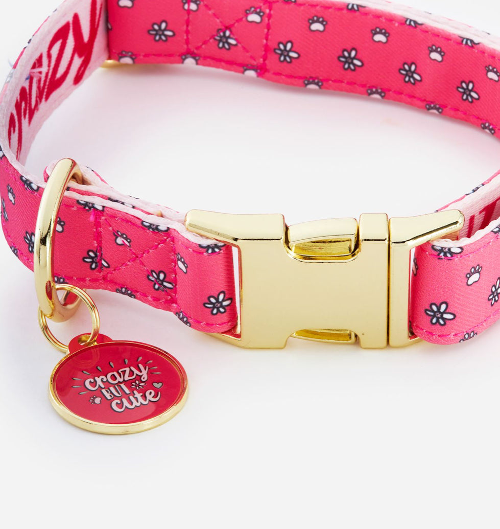 Crazy But Cute Pet Collar