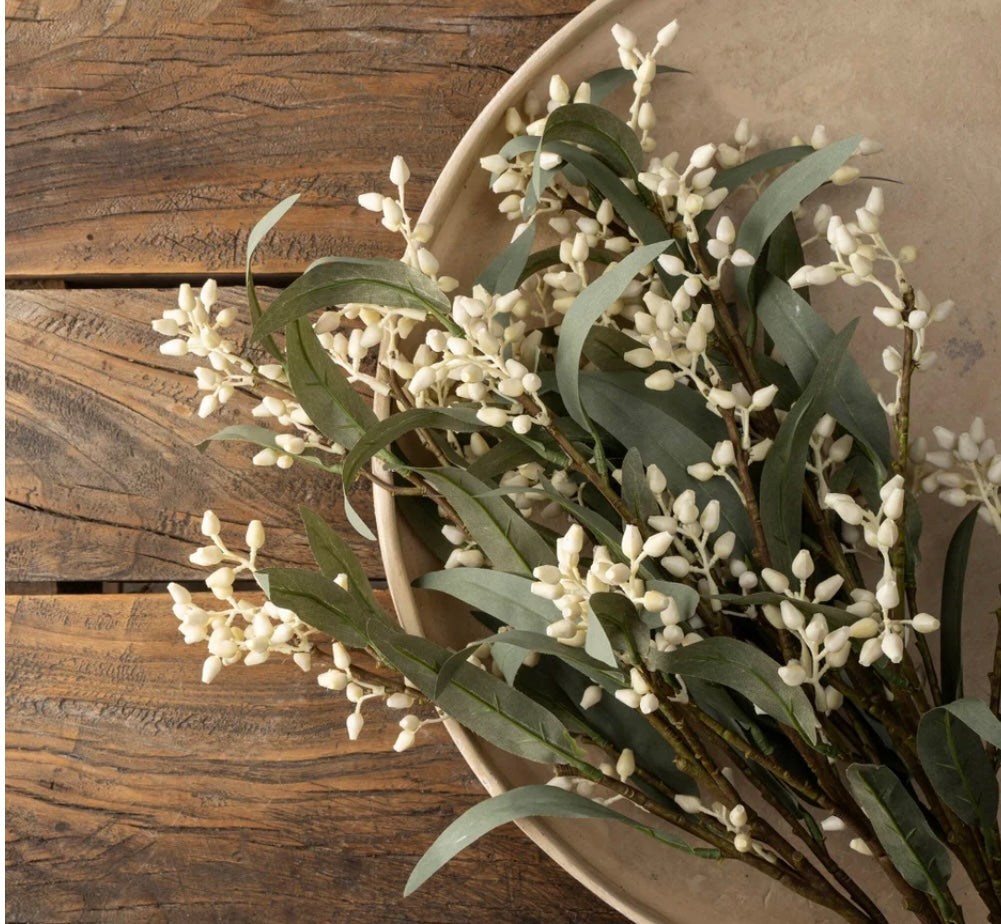 Flowering Eucalyptus Branch