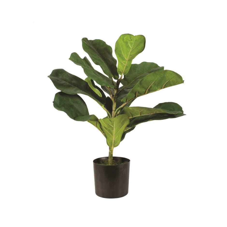 Faux 20.5” Potted Fiddle Leaf Ficus