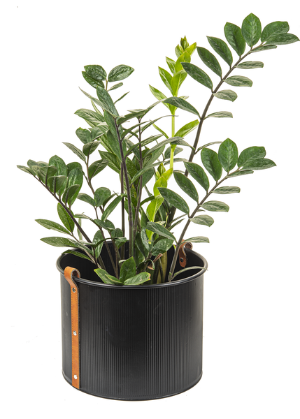 Black Metal Planter with Leather Handle